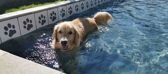 Villa Ayê Pousada Petfriendly