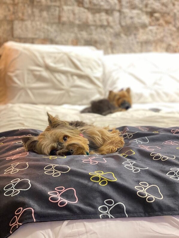 A bed with a patterned blanket and pillows, a brick wall in the background, and two dogs lying on the bed. - Villa Ayê Pousada Petfriendly (Socorro)