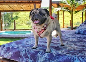 Living area - Villa Ayê Pousada Petfriendly (Socorro)