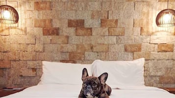 Comfort Room | Free WiFi, bed sheets