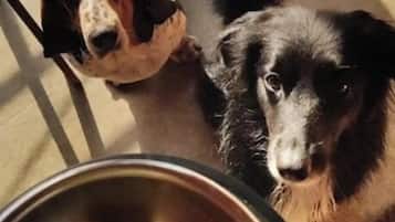 Zona de menjador de l'habitació