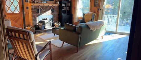 Smart TV, fireplace, books