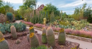 Jardines del alojamiento