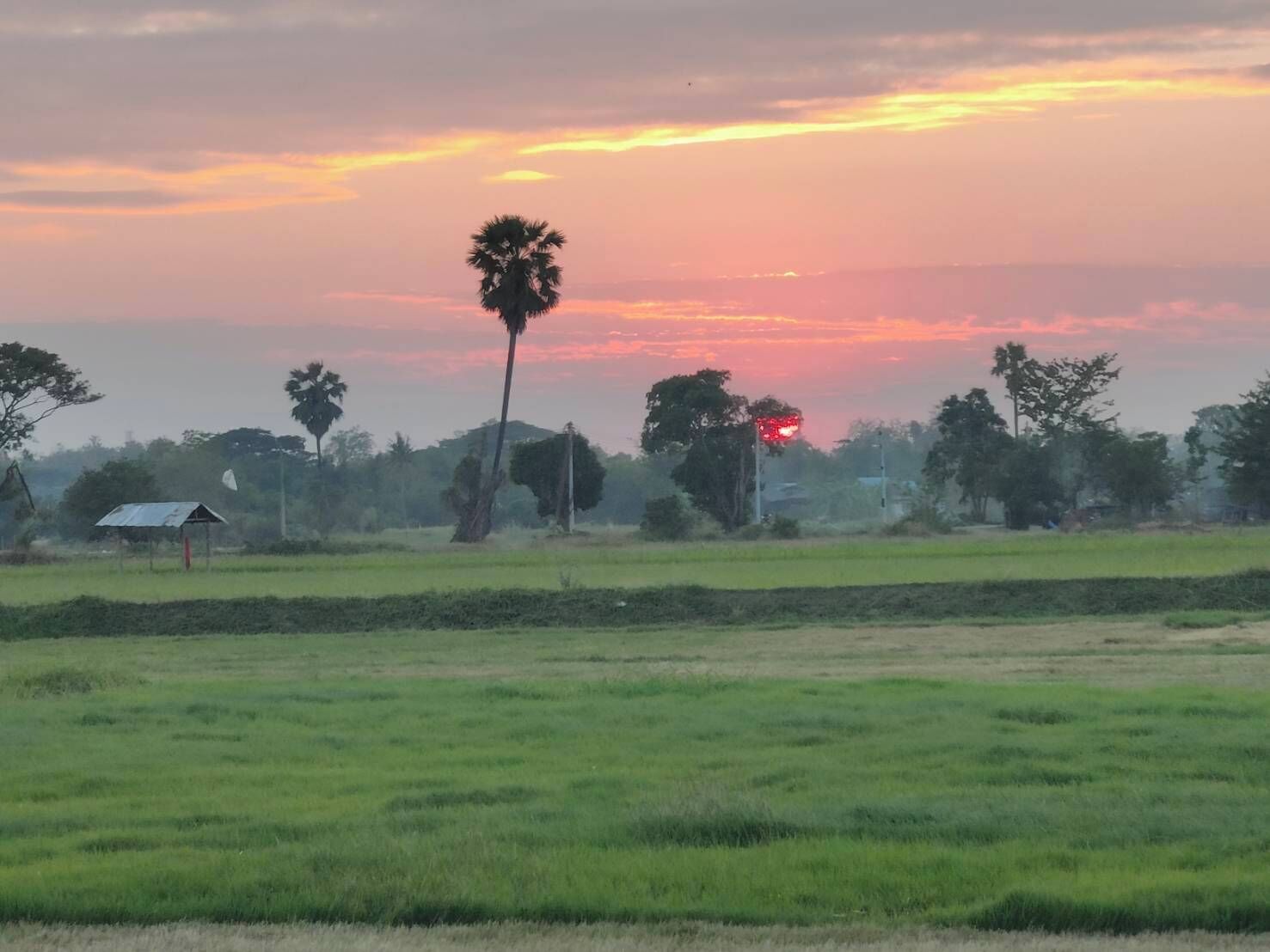A rural landscape with a field, a few trees, and a small structure.