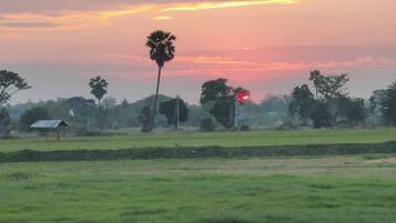 A rural landscape with a field, a few trees, and a small structure.