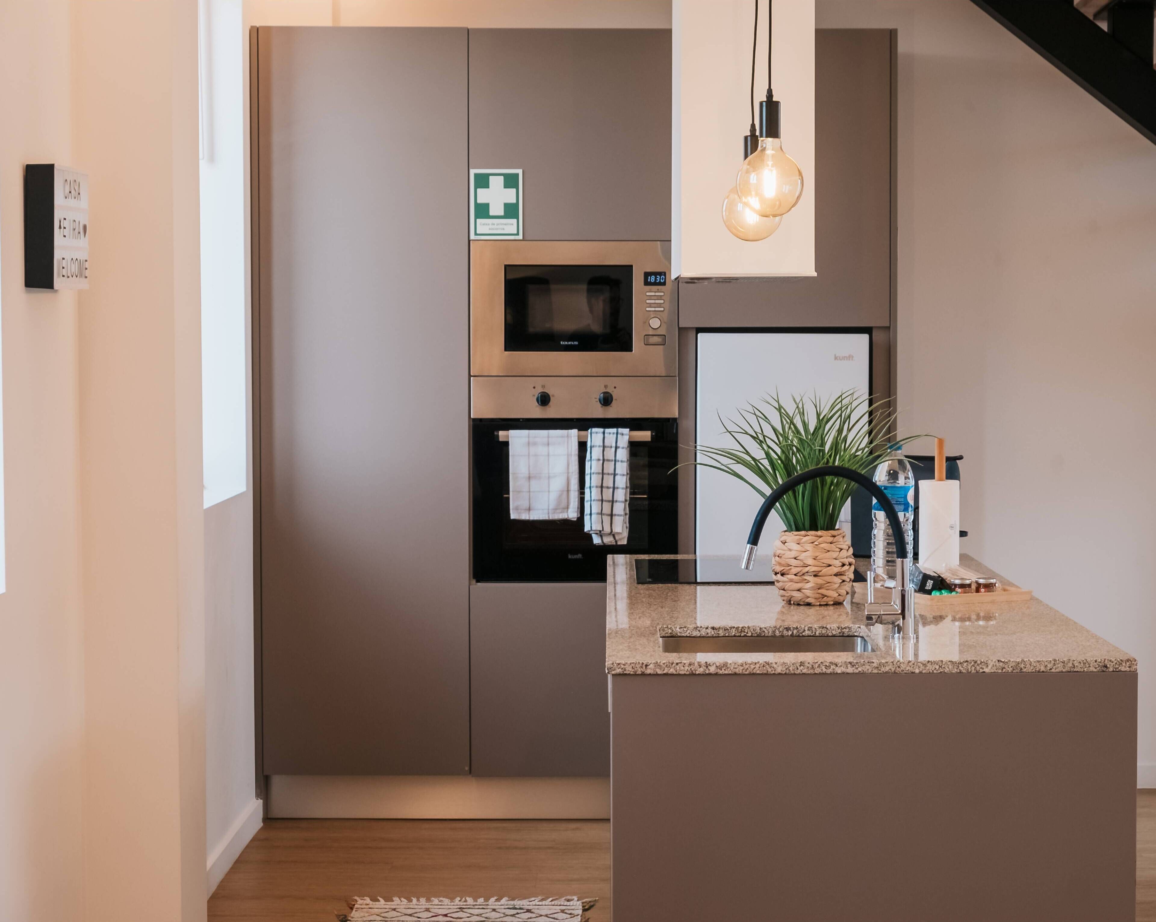 Frigorífico, microondas, horno y placa de cocina