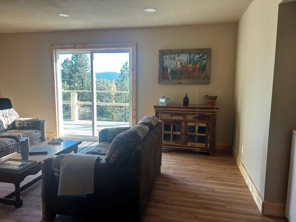 TV, fireplace, books