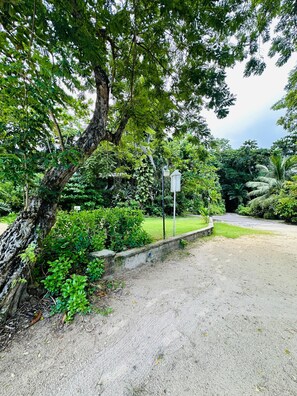 Property grounds - Jett Room - Ferdi's Place (Port Antonio)