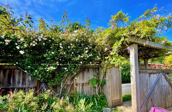 Property grounds - Stunning roomy 4-bedroom home, near the beach. Stay for a month @ 1/2 the price! (Trinidad)