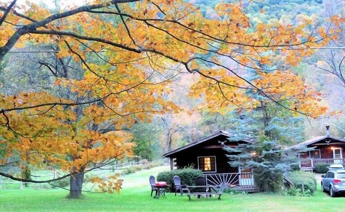 Cold Spring Lodge - Cabin 5