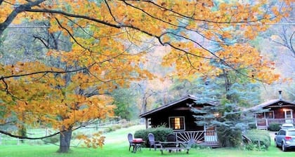 Cold Spring Lodge - Cabin 5