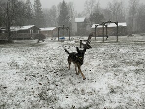 Property grounds - Cold Spring Lodge - Cabin 5 (Big Indian)