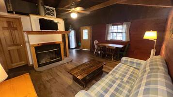 TV, fireplace, books