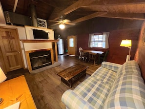 TV, fireplace, books - Cold Spring Lodge - Cabin 6 (Big Indian)