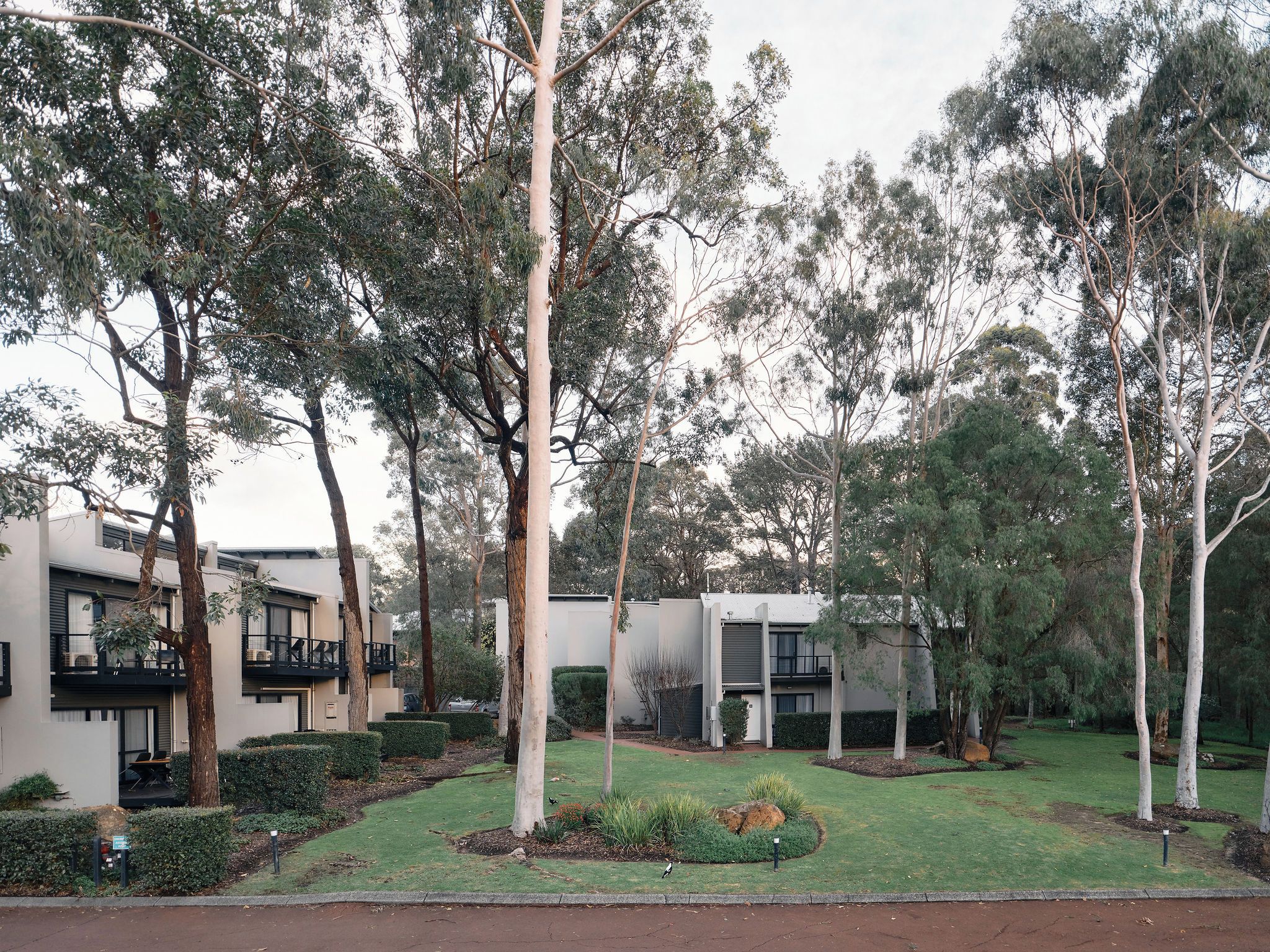 A residential area with modern houses, a well-maintained lawn, and mature trees.