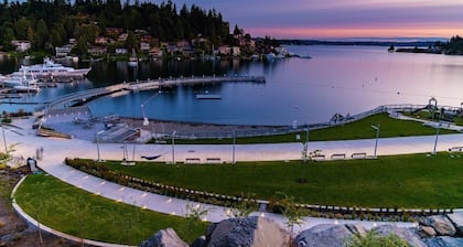 Elegant Luxury Home in Prime Downtown Bellevue