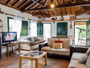 Televisión y chimenea 