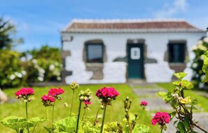 Property grounds - Casa da Serreta 15 by PontaNegraAzores (Serreta)