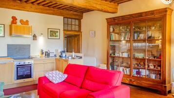 Télévision, cheminée, lecteur de DVD, baby-foot