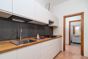 Fridge, oven, stovetop, dishwasher