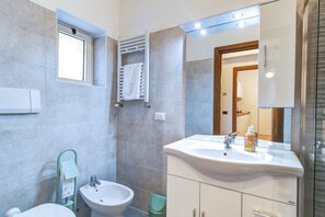 Shower, hair dryer, bidet, towels