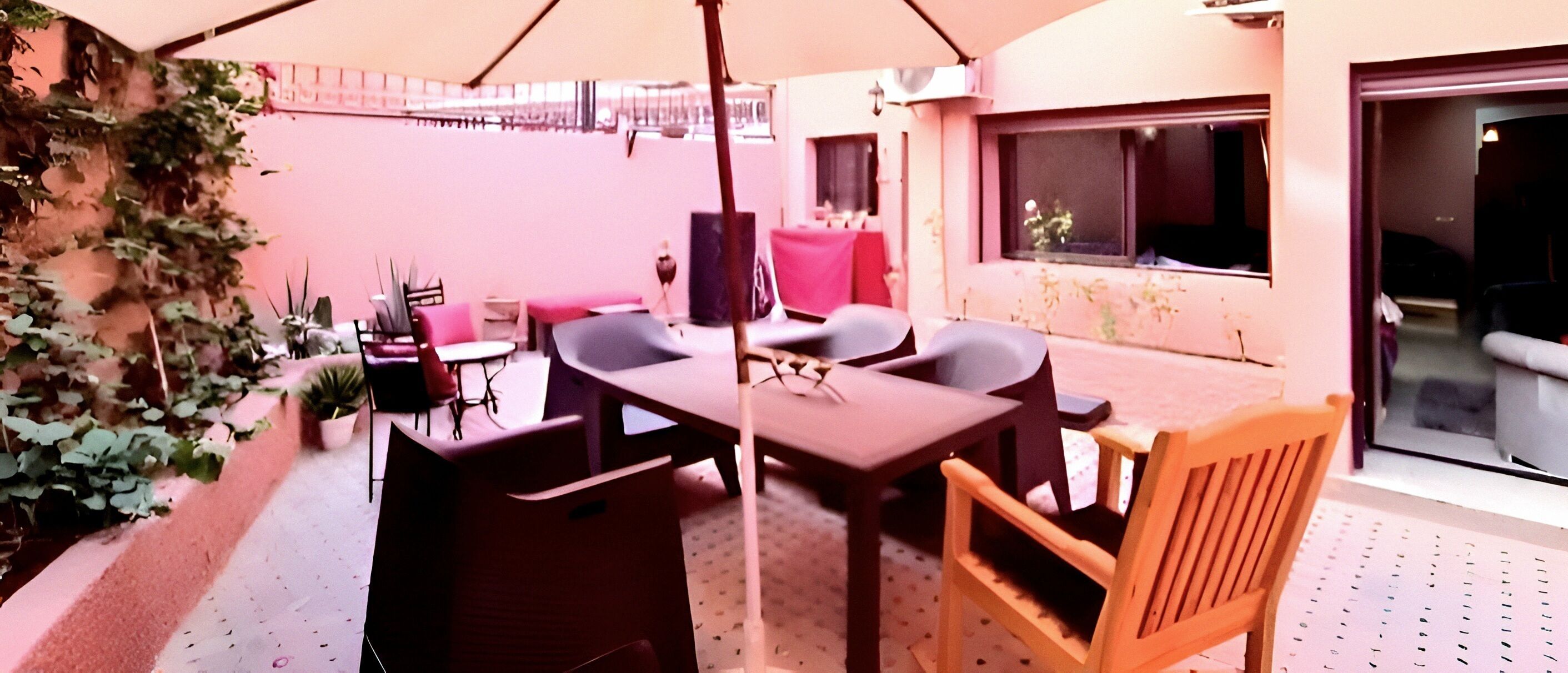 An outdoor seating area with tables and chairs, a potted plant, and a view of the street.