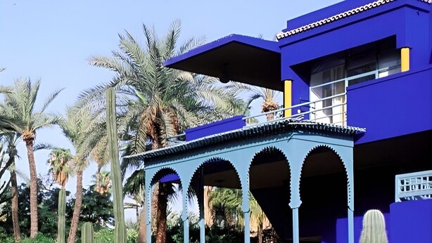 Un edificio azul con un patio techado, rodeado de diversos cactus y palmeras.