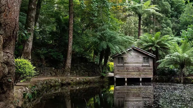 Une cabane en bois au bord d’un lac paisible, entourée d’une forêt dense.