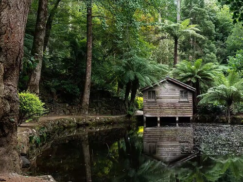 A cosy and private studio in Boronia for two with  yard