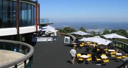 A cosy and private studio in Boronia for two with yard