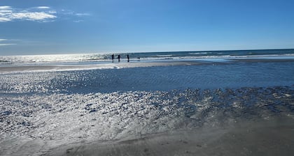 PEACE AND QUIET AT HOKIO BEACH, CLOSE TO LEVIN, PET FRIENDLY