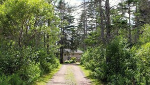 A dirt path leading to a house surrounded by dense forest. - Hare Hideaway with Fireplace (Prince Edward Island)
