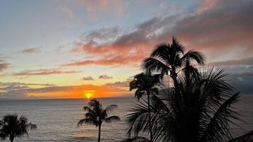 Un coucher de soleil sur l’océan, avec des palmiers se détachant en silhouette sur le ciel.