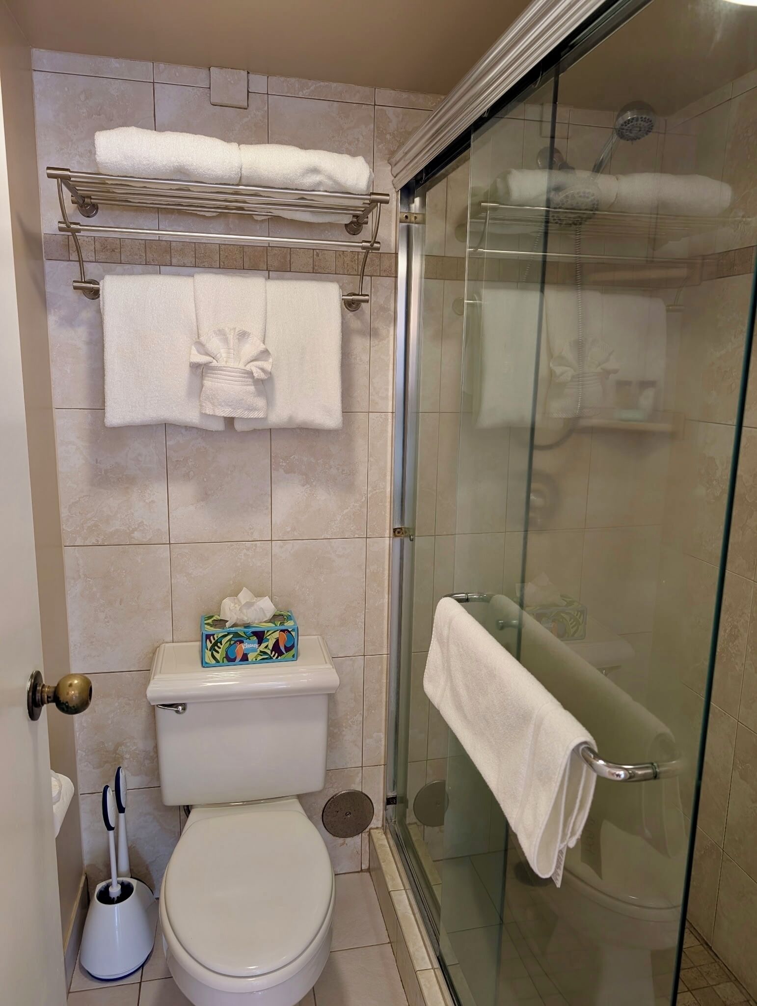 Un baño con ducha de vidrio, inodoro, toallero con toallas y caja de papel higiénico.