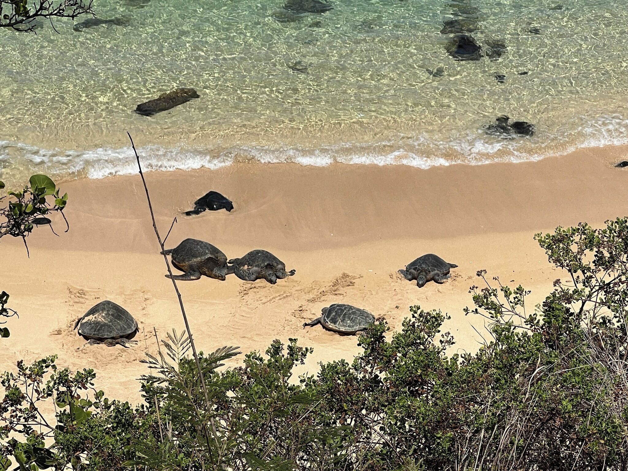 On the beach, sun loungers, beach towels