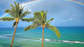 Two palm trees by the ocean with a rainbow in the sky.