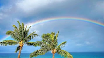 On the beach, sun loungers, beach towels
