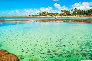 Beach - Foot in the sand in Porto de Galinhas (Ipojuca)