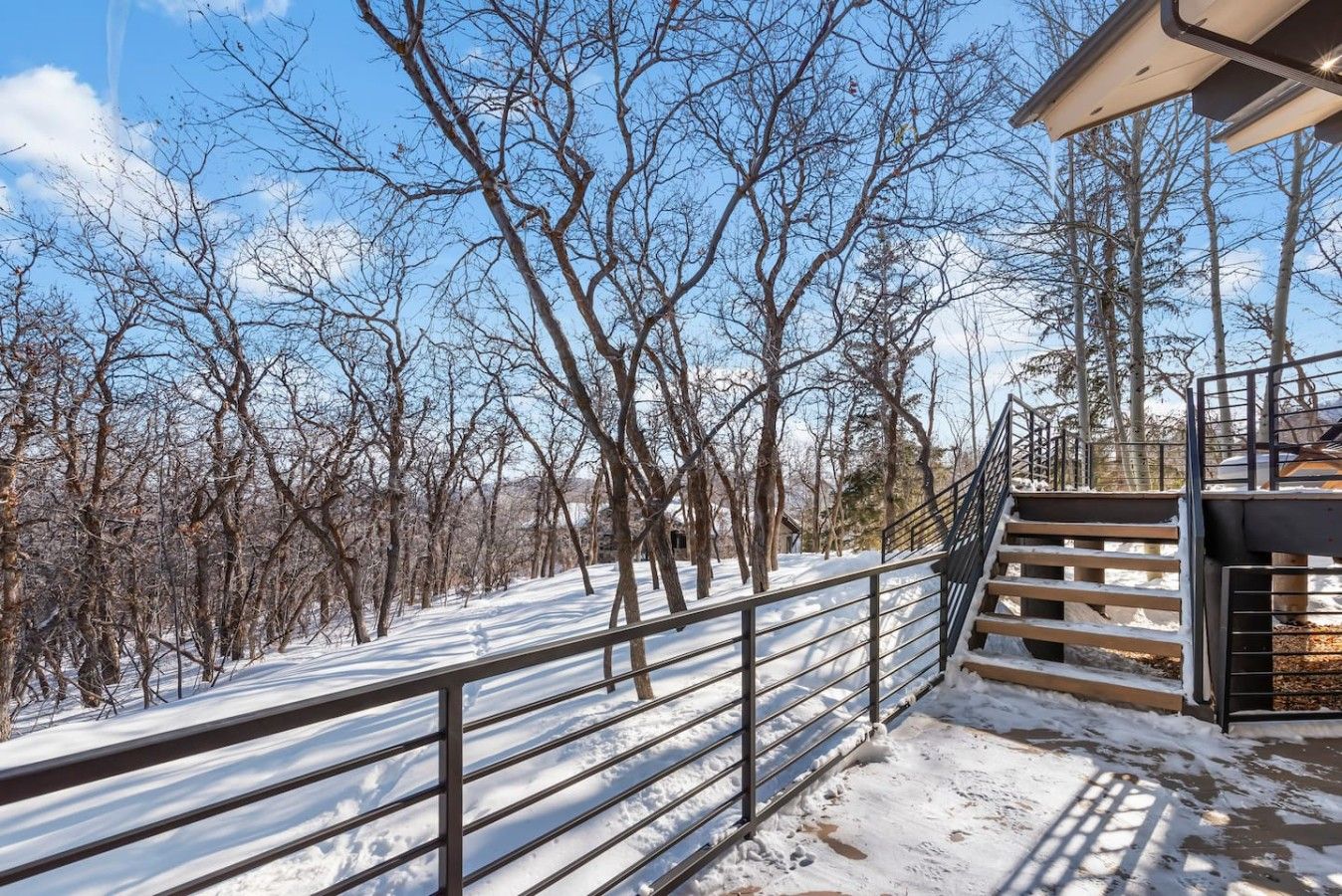A snow-covered outdoor area with a metal staircase leading to a building, surrounded by leafless trees.