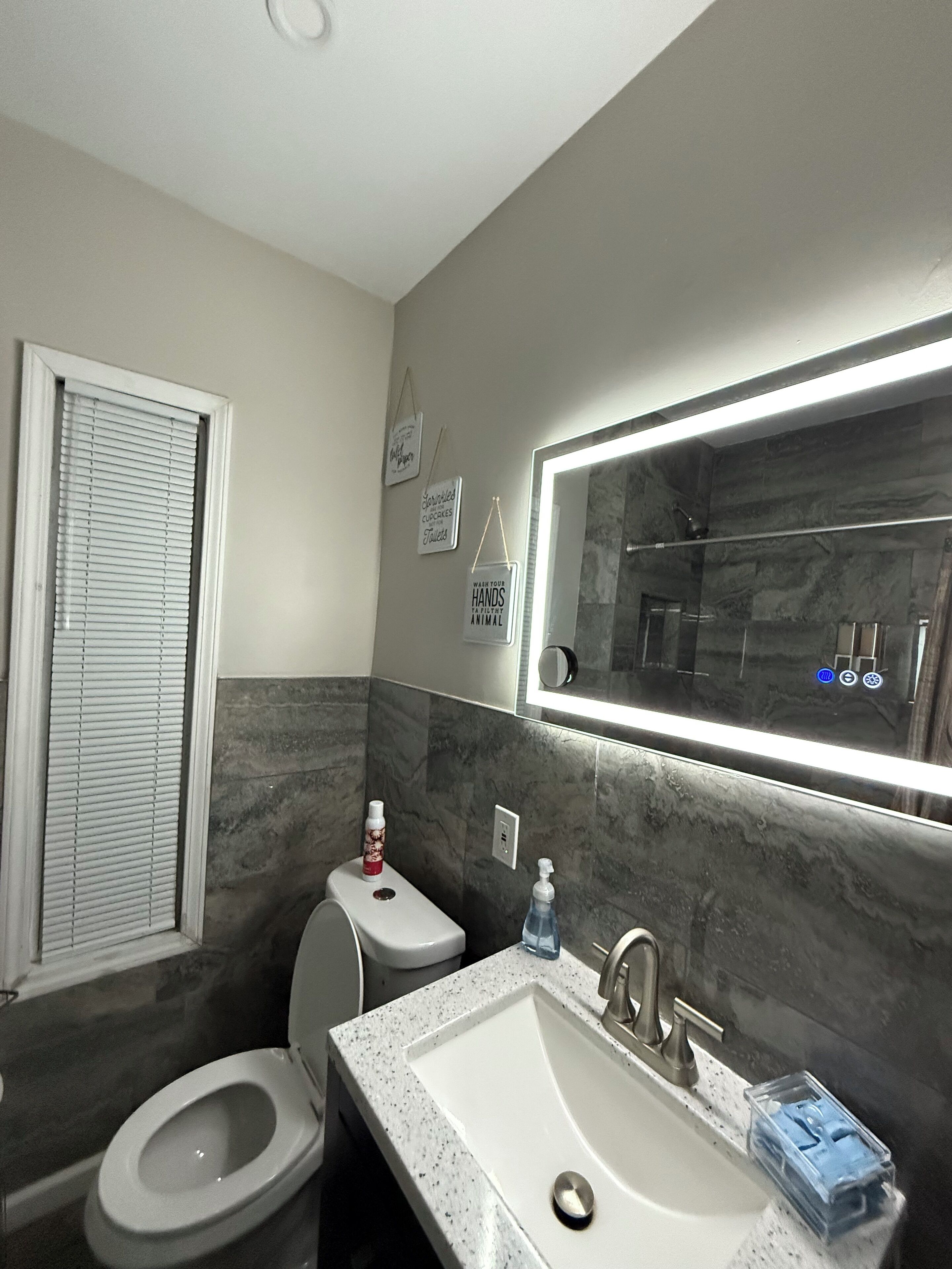 Hair dryer, towels, soap, toilet paper