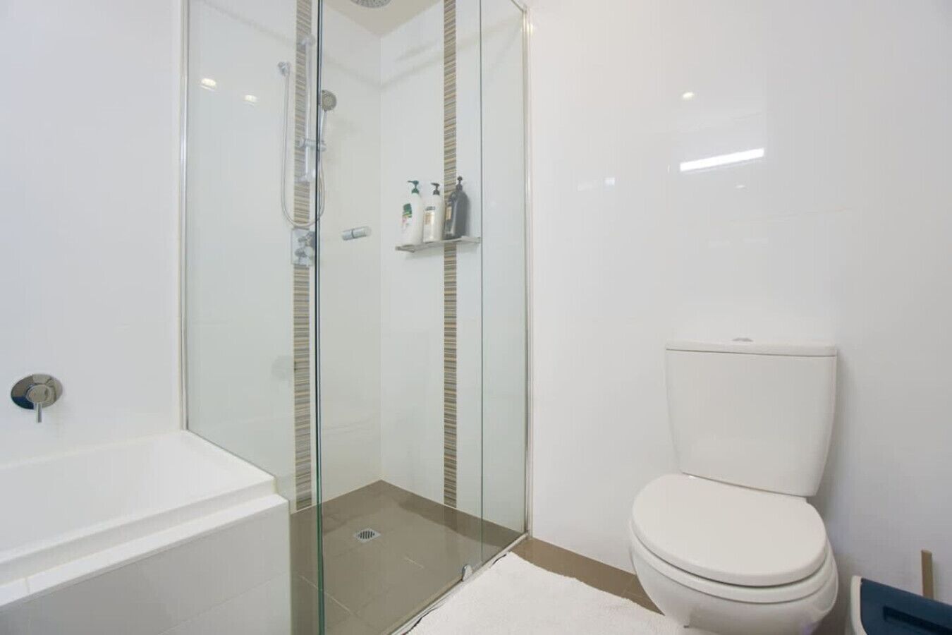Shower, hair dryer