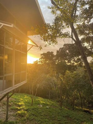 Enceinte de l’hébergement