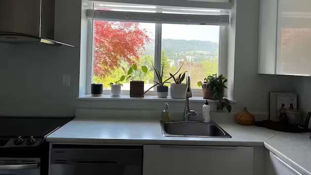 Una cocina con ventana, lavamanos y diversas macetas.