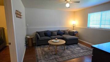 Smart TV, computer monitors