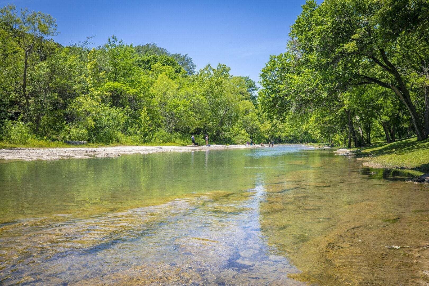 Un fiume cristallino circondato da fitti alberi verdi.