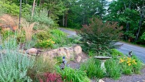 Un jardí ben cuidat amb diverses plantes i una bassa per a ocells.