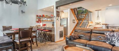 电视、壁炉、DVD 播放器、书