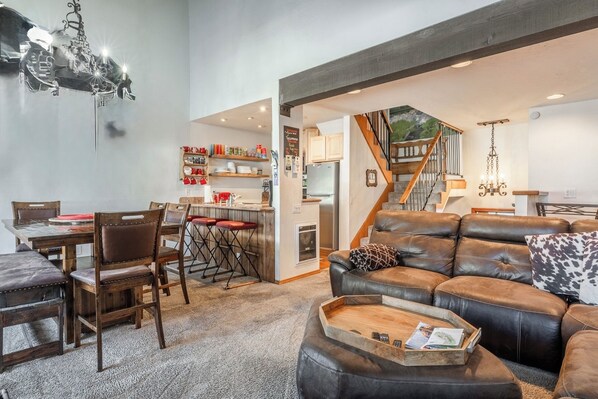 Télévision, cheminée, lecteur de DVD, livres