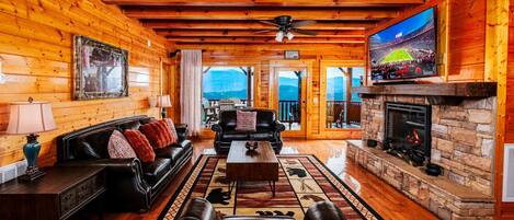 Televisión, chimenea, videojuegos, reproductor de DVD