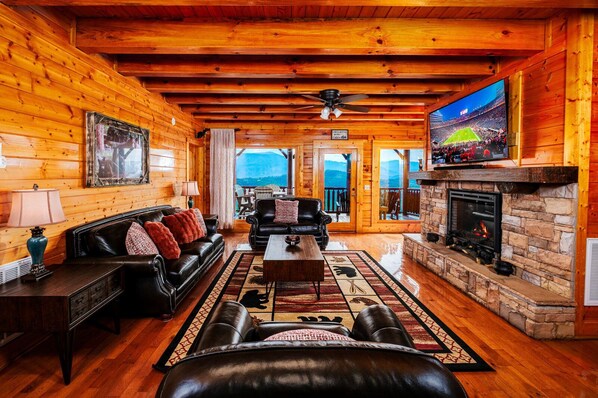 TV, fireplace, video games, DVD player